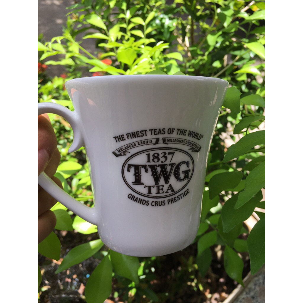 *ไม่มีกล่อง* TWG tea Mug มือสอง สภาพดี