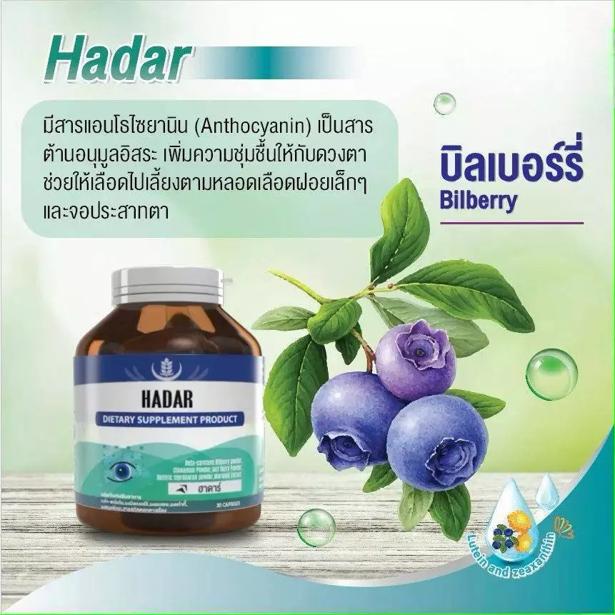 Bilberry บิลเบอร์รี ดอกดาวเรือง ลูทีน วิตามินบำรุงสายตา ลดอาการตาแห้ง 30 แคปซูล ของแท้ 100% thumbnail 4
