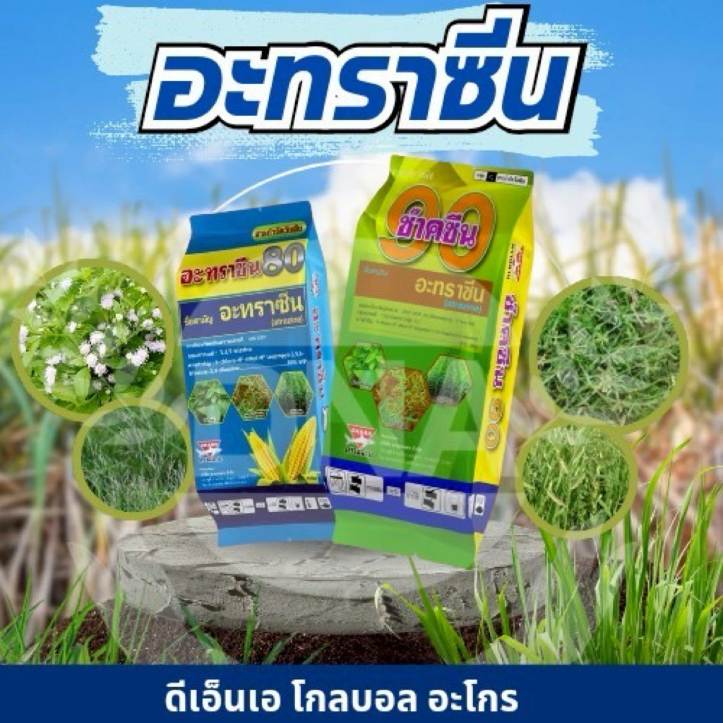 [ 1 ถุง ] อะทราซีน กำจัดหญ้าในไร่สับปะรด กำจัดหญ้าไร่ข้าวโพด กำจัดหญ้าไร่อ้อย ออกฤทธิ์คุมฆ่าหญ้า