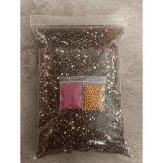 ดินปลูกแคคตัส 1 โล แถมปุ๋ยออสโมโค้ท สตาร์เกิลจี