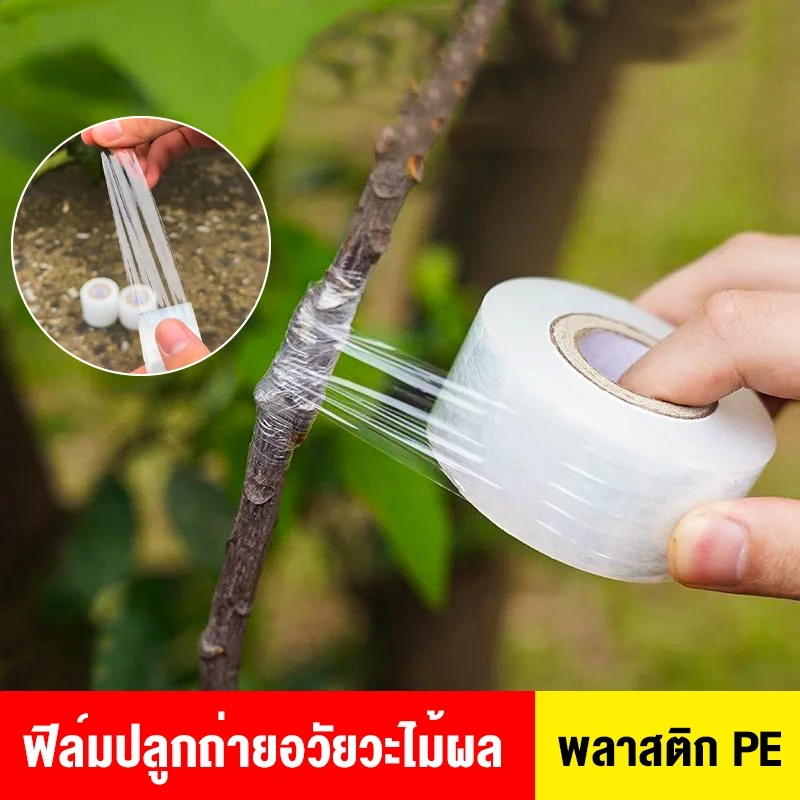 เทปพันกิ่งไม้ UF 3/5cm x 200m อุปกรณ์ตอนกิ่ง ทำสวน thumbnail 3
