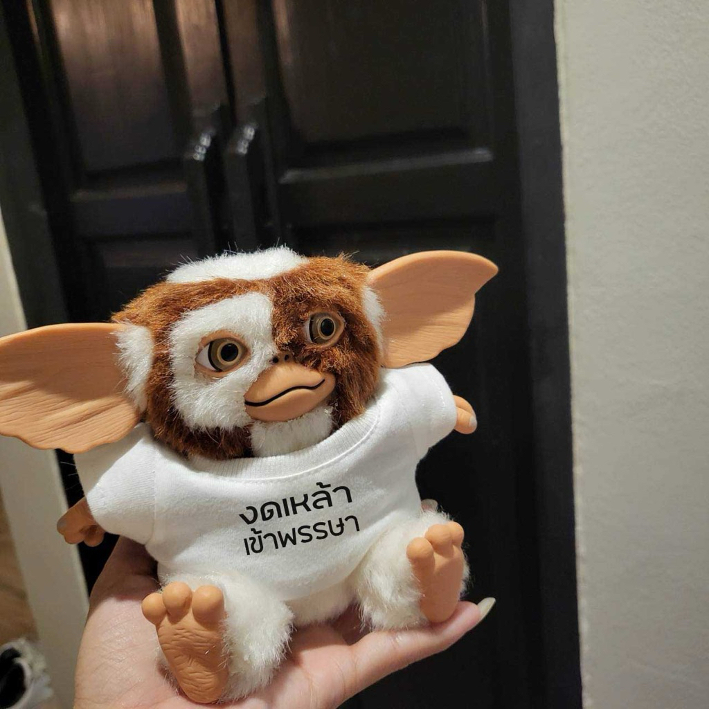 🦦chcomint sundae🦦 เสื้อเกมลิน  เสื้อเป็ดบึ้ง เสื้อตุ๊กตา size 20cm รวมลาย (สำหรับ Gremlins plush / upset duck)