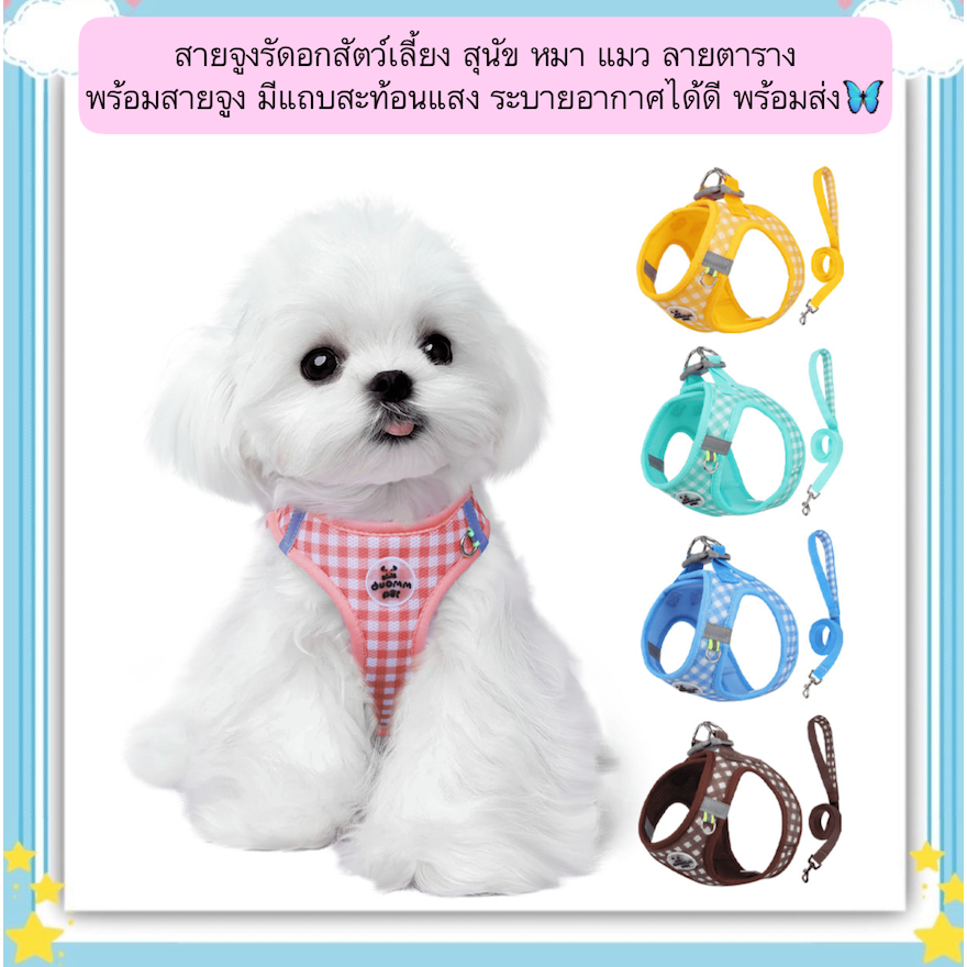 AL-506 สายจูงรัดอกสัตว์เลี้ยง สุนัข หมา แมว ลายตาราง พร้อมสายจูง มีแถบสะท้อนแสง ระบายอากาศได้ดี พร้อมส่ง🦋