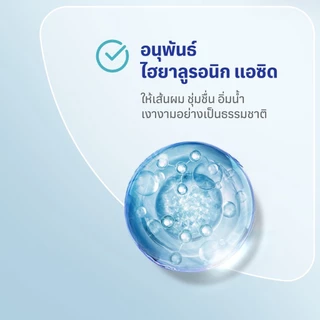 โลแลน อินเทนซ์ แคร์ บอนด์ รีแพร์ วอเตอร์ ทรีตเมนต์ 160 มล.