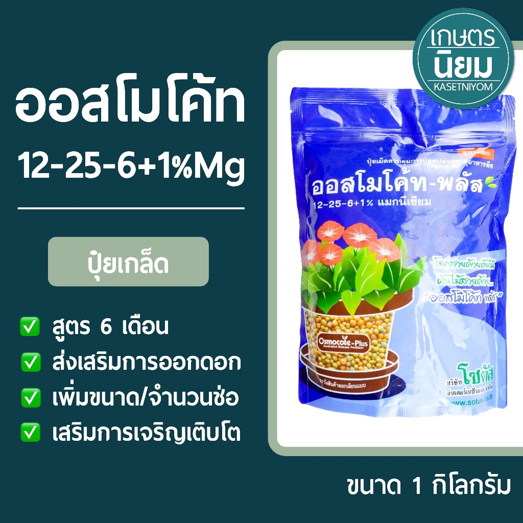 ปุ๋ยเกล็ด ออสโมโค้ท พลัส (ปุ๋ยเคมีสูตร 12-25-6+1%Mg) 1 กิโลกรัม