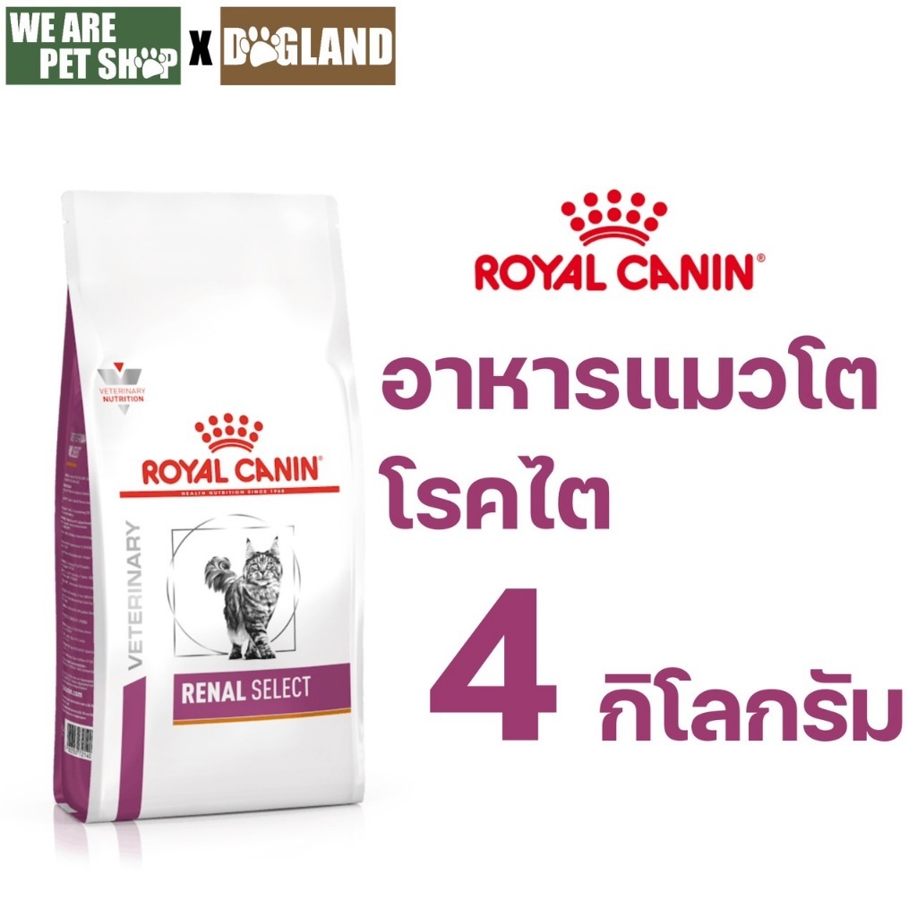 Royal Canin Vet Cat 4 kg Renal Select แมวโรคไต