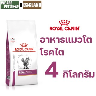 Royal Canin Vet Cat 4 kg Renal Select แมวโรคไต