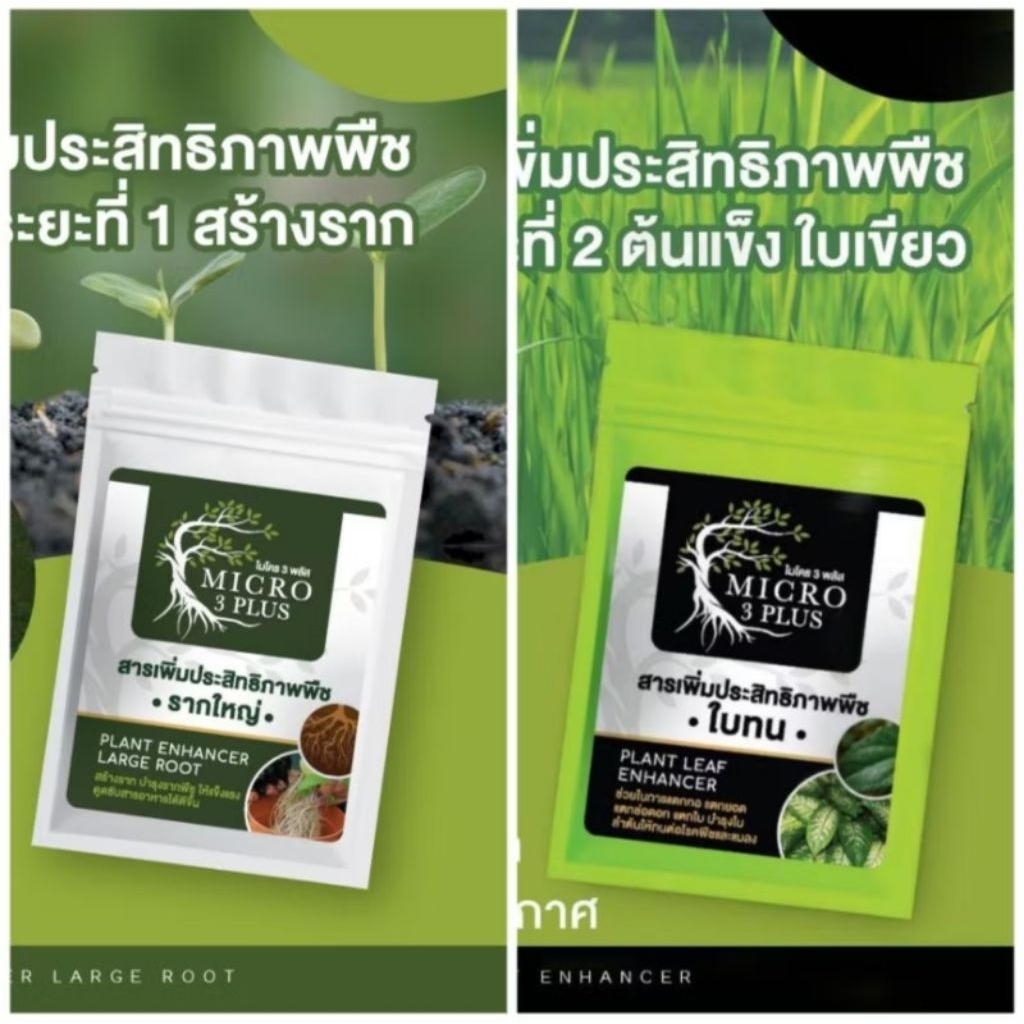 !!ชุดเล็ก 5แถม 1!! รากใหญ่ใบทนชุดเล็ก 1 ชุด 6 ซอง มีรากใหญ่ 3 ซอง ใบทน 3 ซอง