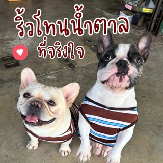 🇹🇭พร้อมส่ง🇹🇭 เสื้อแมว เสื้อหมา ลายริ้วสุดคลาสสิก น่ารัก เรียบง่าย ใส่ได้ทุกโอกาส