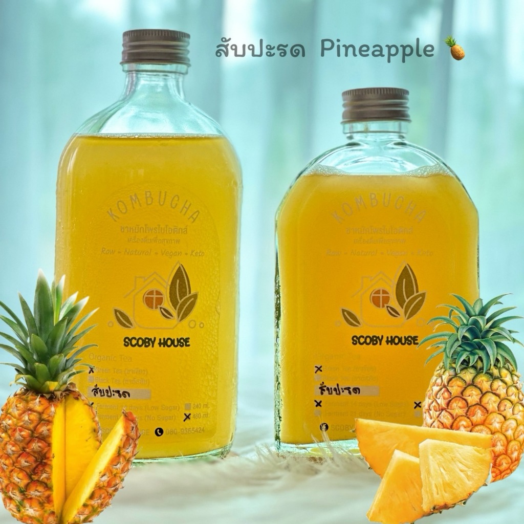 Kombucha คอมบูชา คอมบูชะ ชาหมักออร์แกนิค หวานน้อย น้ำตาลต่ำ พร้อมดื่มในขวดแก้ว หลายรสชาติ Keto Vegan - รูปที่ 3