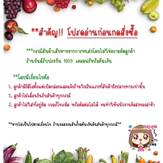 ขนมปังเวียดนาม ปังญวน 50 ชิ้น ปังญวน ไม่มีไส้ **ส่งด่วนผ่านไปรษณีย์ไทย**