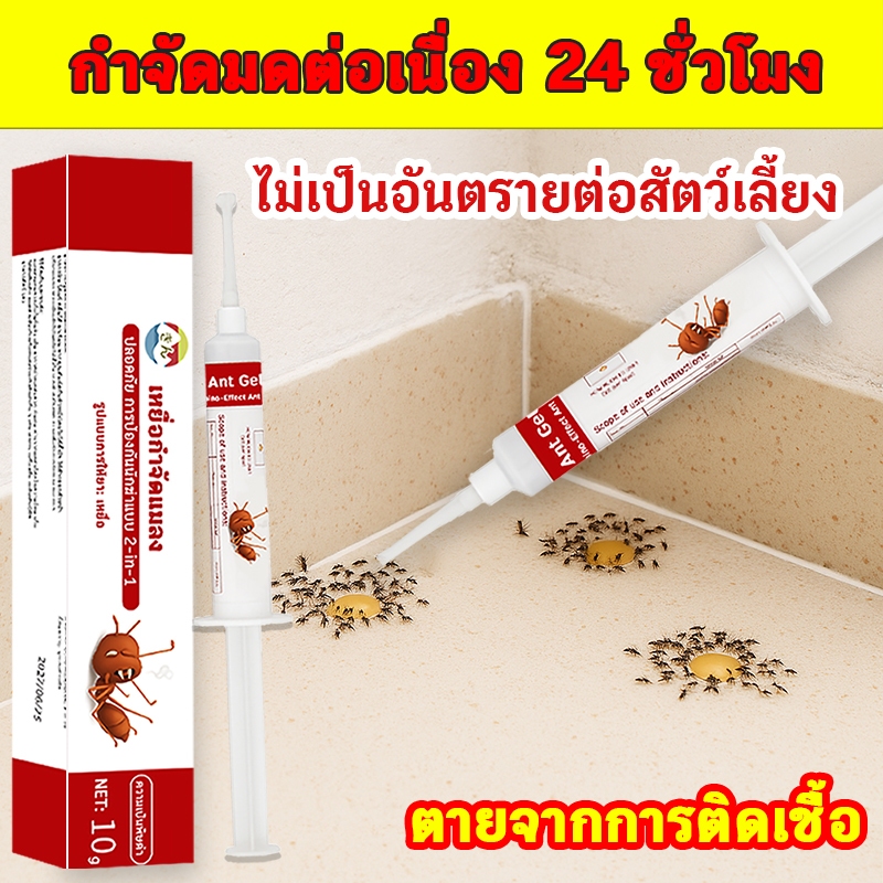 🐜เจลกำจัดมดโดยเฉพาะ🐜เจลกำจัดมด แอนท์เบท ยาฆ่ามด  10 กรัม เจลฆ่ามด หยดเดียวตายยกรัง เจลล่อมด เจลหยอดมด แอนตี้แอนท์