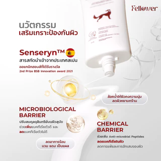 Fellower ครีมทาอุ้งเท้าสุนัข 3in1 ดูแลอุ้งเท้าแดง คัน เลียเท้า ยีสต์ ซึมไว ไม่เหนียว ปลอดภัยเลียได้ Paw Cream 50ml