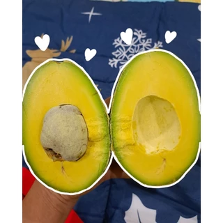 ‼️ส่งฟรี‼️ AVOCADO #บัคคาเนีย 🌈 3โล 170 บาท ✅️เหนียวมันเนยหนึบ