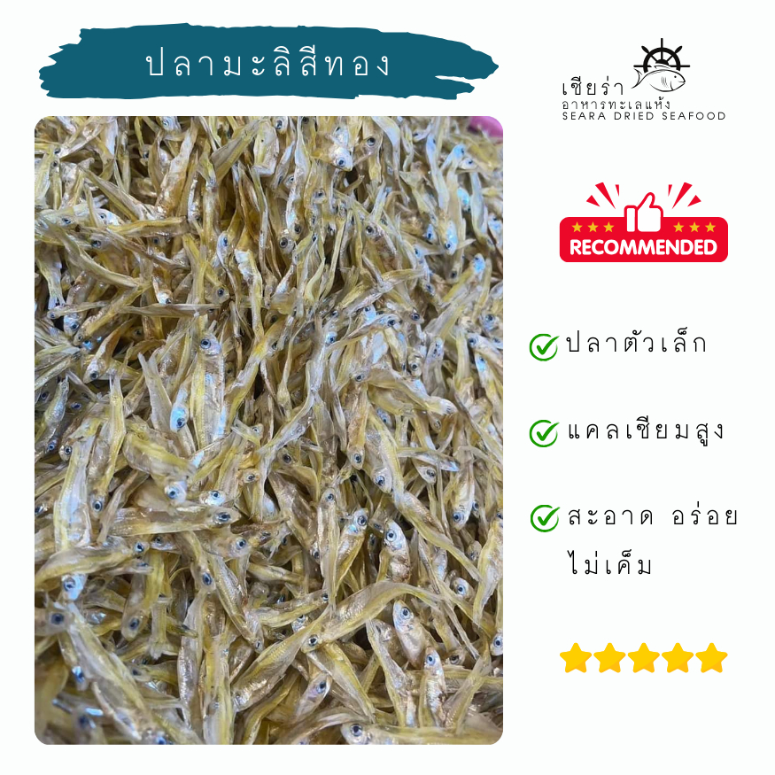 ปลามะลิ ปลาตัวเล็ก ปลามะลิสีทอง