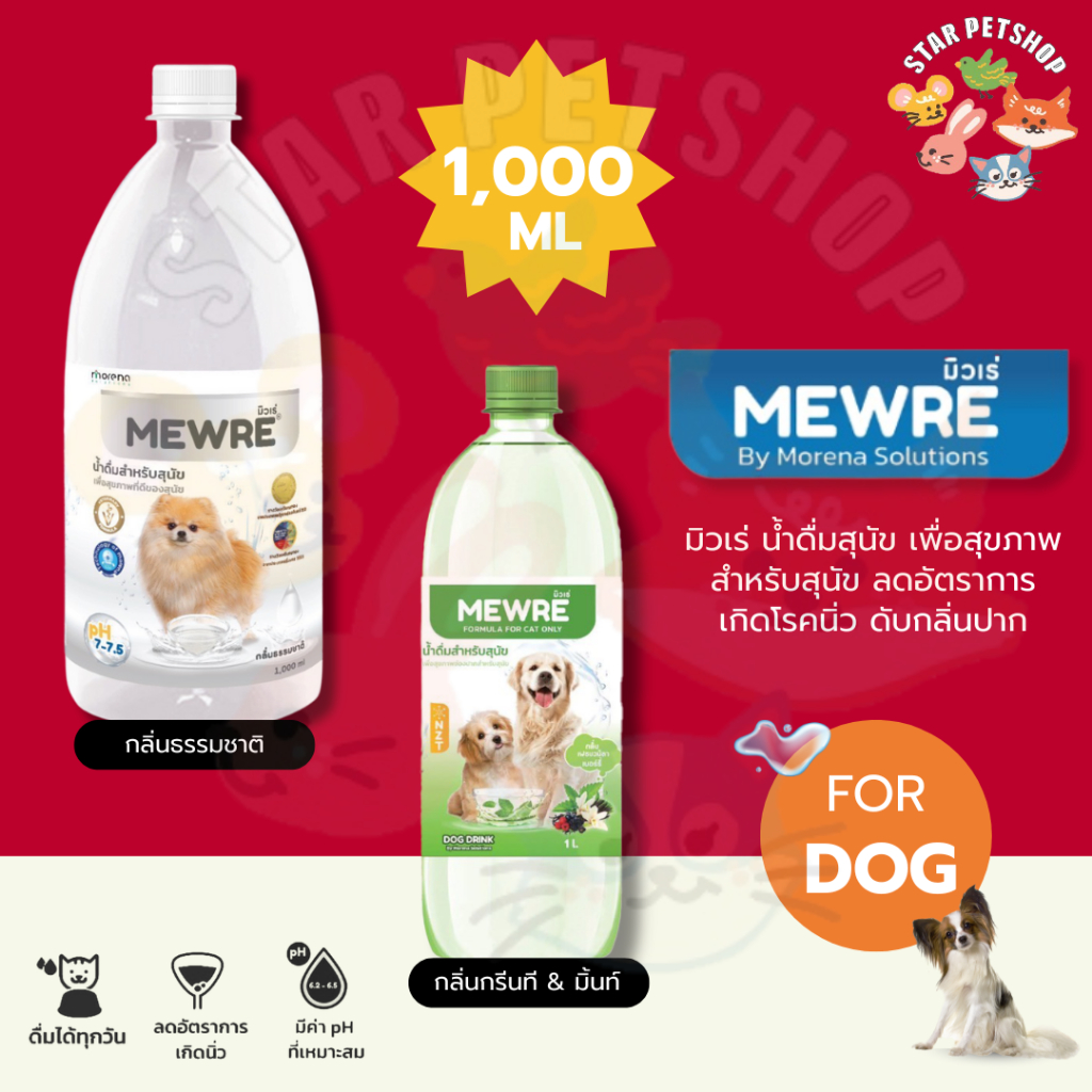MEWRE มิวเร่ น้ำดื่มเพื่อสุขภาพสำหรับสุนัข ขนาด 3,800 มิลลิลิตร (MD3.8 x 1)
