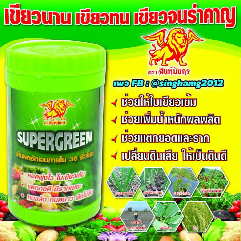 ซุปเปอร์กรีนพลังเขียว ยอดพุ่งโตไว ใบเขียว ธาตุอาหารเสริมพืช แก้ใบเหลือง โตไวใบเขียวใน 36 ชม.