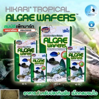 Hikari Algae Wafers สำหรับปลาพื้นตู้สำหรับปลากินพืช กินตะไคร่ แบบเม็ดจม ขนาด 20g 40g 82g. 250g.