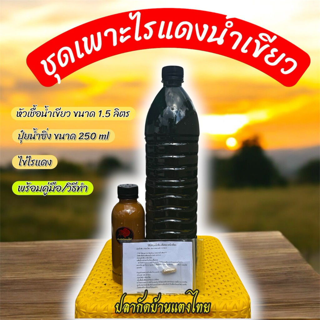 ชุดเพาะไรแดงน้ำเขียว(ปุ๋ยน้ำซิ่ง)