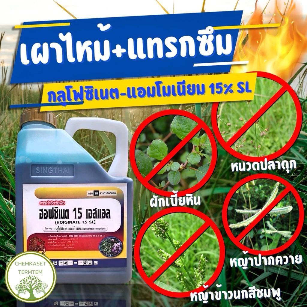 กลูโฟซิเนท 15% สิงห์ไทย เนื้อนำเข้า 100% สารกำจัดวัชพืชใบแคบและใบกว้าง ตายดี ตายทน ทนฝน ขนาด 4ลิตร