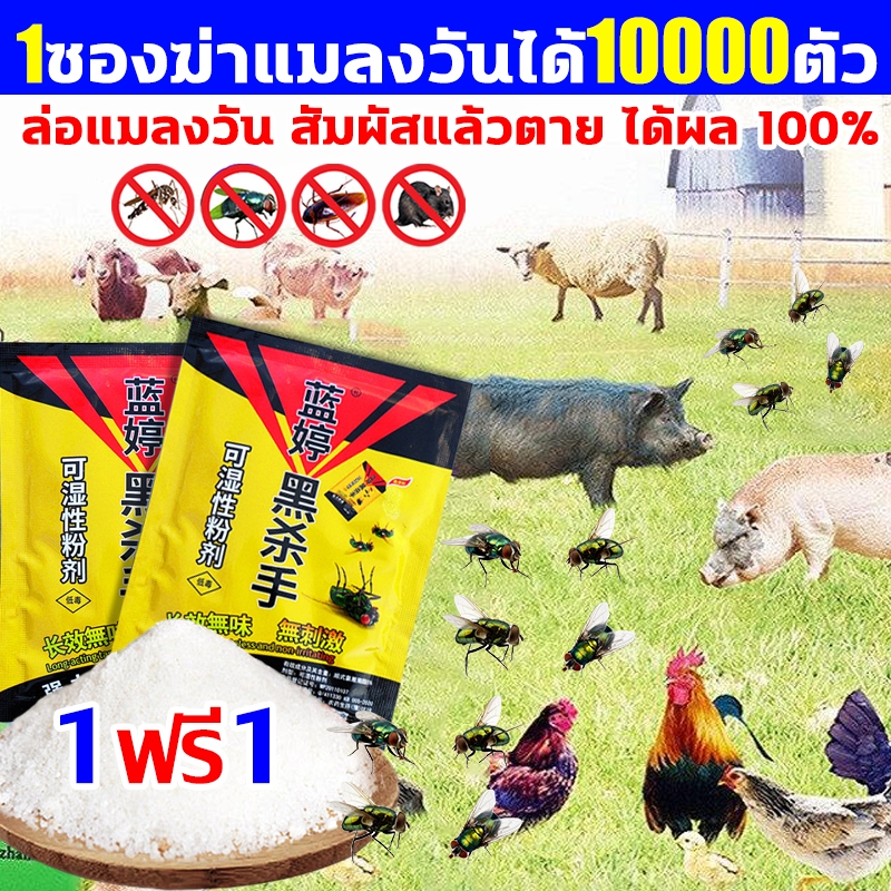 1 ซองสามารถฆ่าแมลงวันได้10000ตัว ผงกำจัดแมลงวัน ไม่มีรสชาติ นสัมผัสตายหยื่อที่ดึงดูดแมลงวันดีที่สุด  ได้ผล100%ผงไข่เน่า