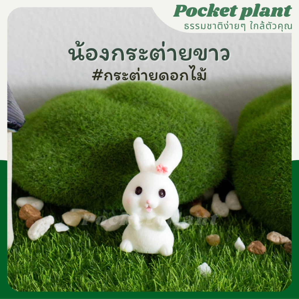 มุมมอง 5