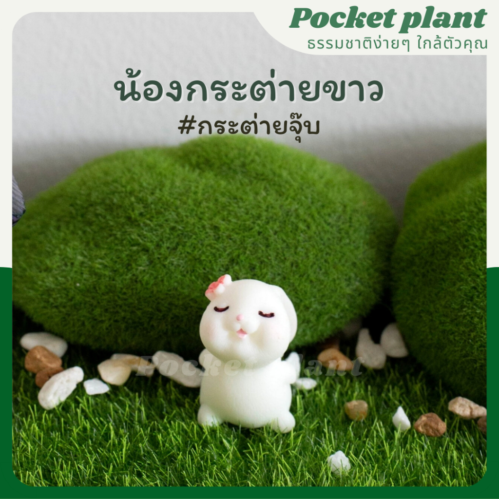 มุมมอง 6