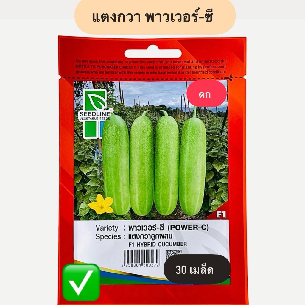 แตงกวา พาวเวอร์-ซี (30 เมล็ด) พันธุ์ดก ตราซีดไลน์