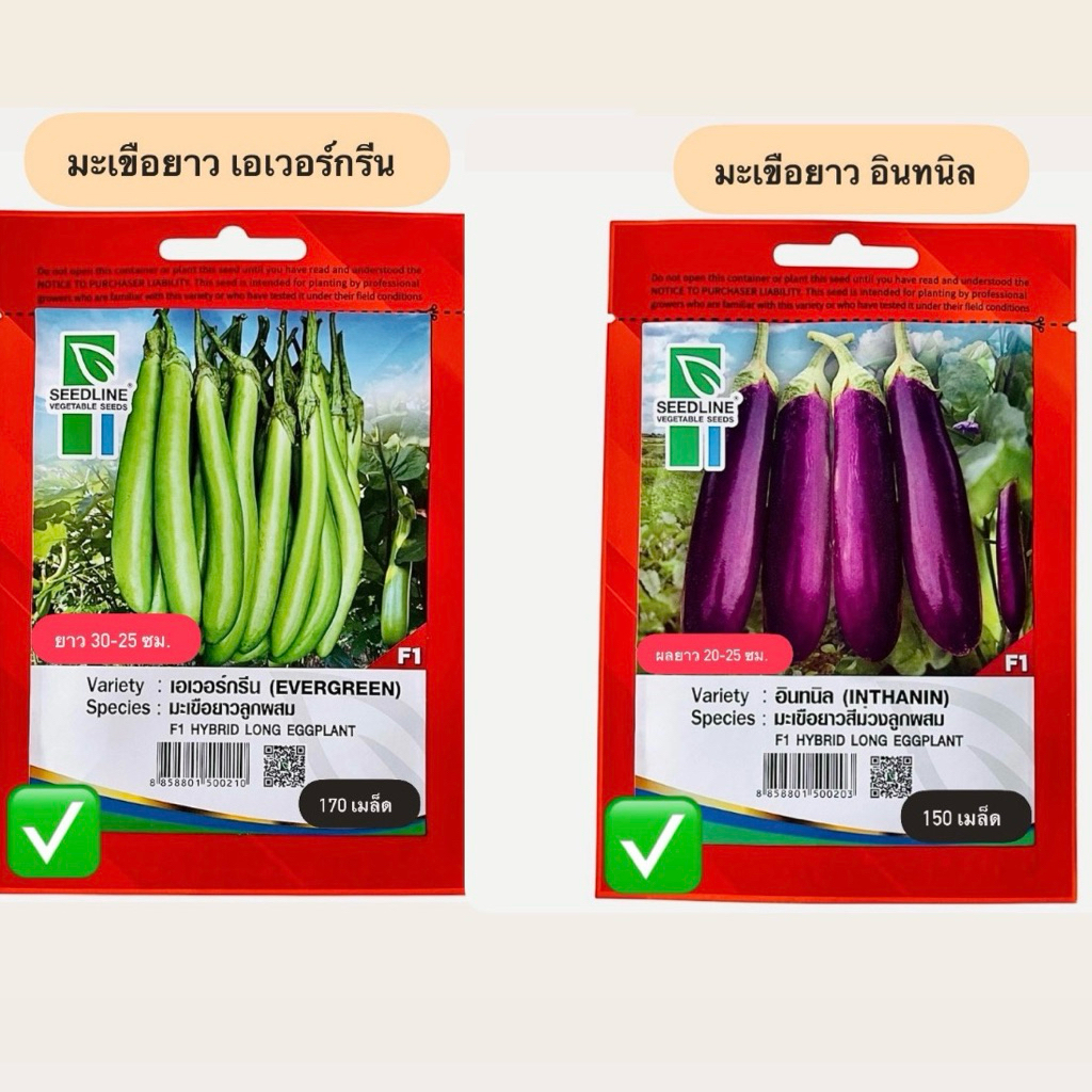 มะเขือยาว สีเขียว ,มะเขือยาว สีม่วง ตราซีดไลน์ (150,170 เมล็ด)