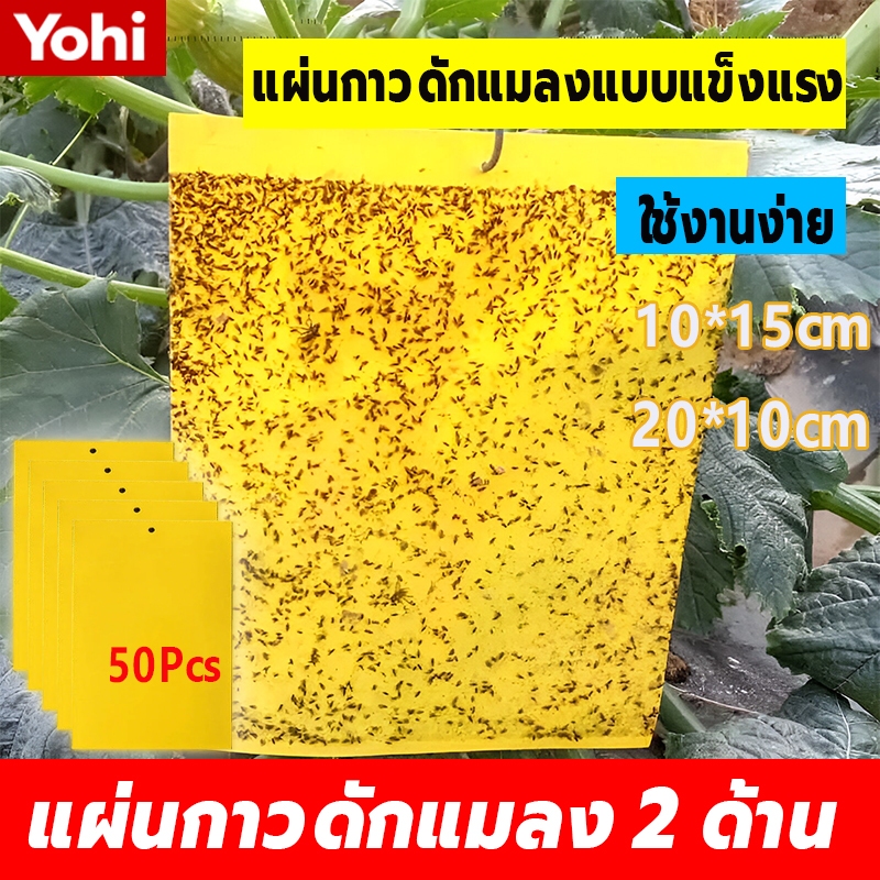 พร้อมส่ง 50 แผ่น กาวดักแมลงวันทอง 2025ซม 2 ด้าน สีเหลือง
