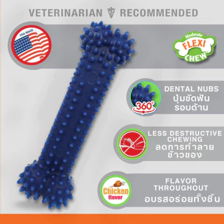 🇺🇸Made in USA🇺🇸 Nylabone Flexi Chew Textured Dental Bone Dog Chew Toyของเล่นขัดฟันสุนัขมีปุ่มรอบด้าน