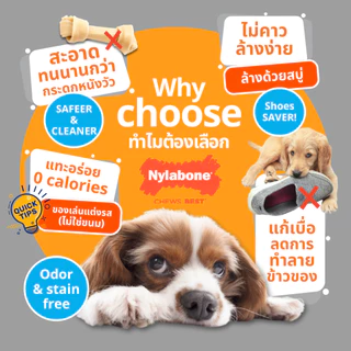 🇺🇸Made in USA🇺🇸 Nylabone Flexi Chew Textured Dental Bone Dog Chew Toyของเล่นขัดฟันสุนัขมีปุ่มรอบด้าน