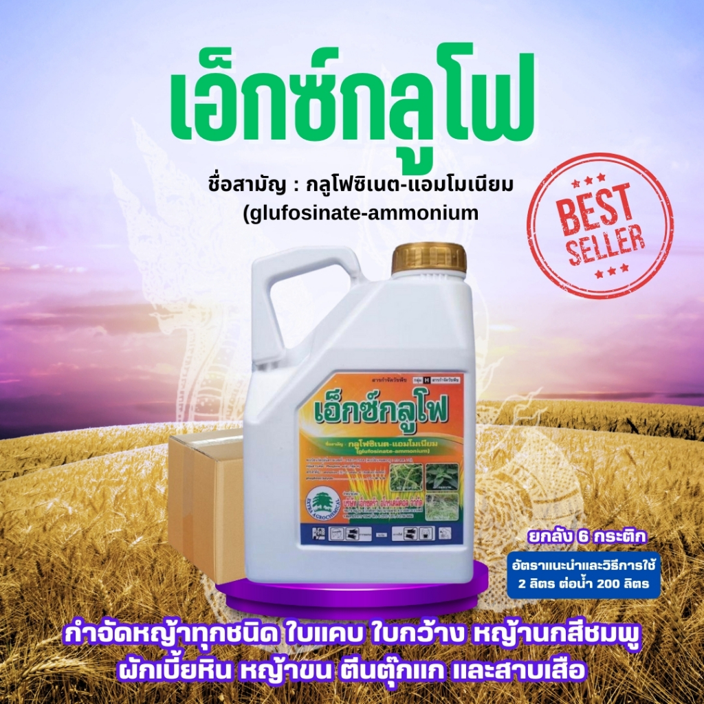 *1ลังต่อ1คำสั่งซื้อ**สินค้ายกลัง* เอ็กซ์กลูโฟ ( กลูโฟซิเนต แอมโมเนียม ) ขนาด 4 ลิตร ยกลัง 6 กระติก* ปราบวัชพืช
