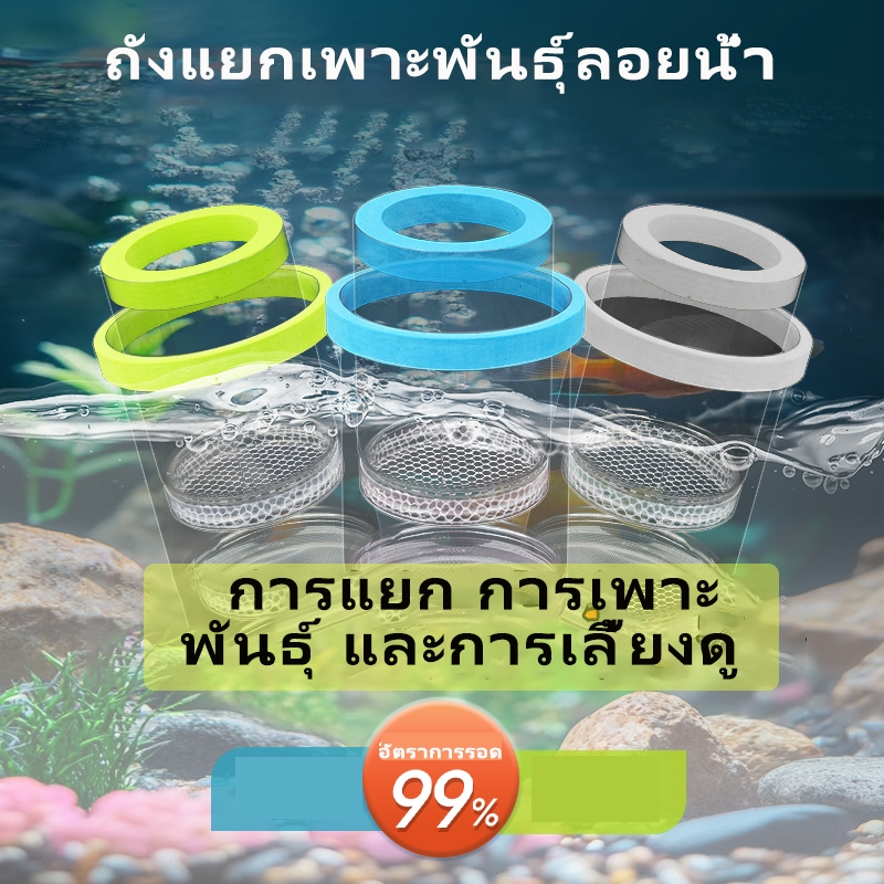 กล่องฟักไข่ปลาที่ลอยได้ กล่องฟักลอย กล่องแยกปลาคลอดลูก 2ช่องแยกลูกกุ้ง และแยกปลาที่กำลังป่วย สองขนาด