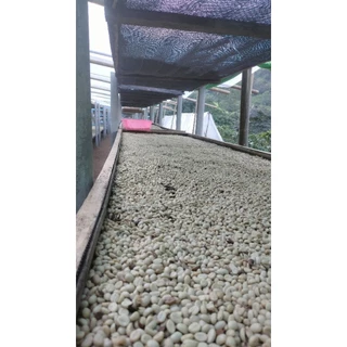กาแฟสาร Anaerobic Washed ขุนช่างเคี่ยน,Green coffee Beans