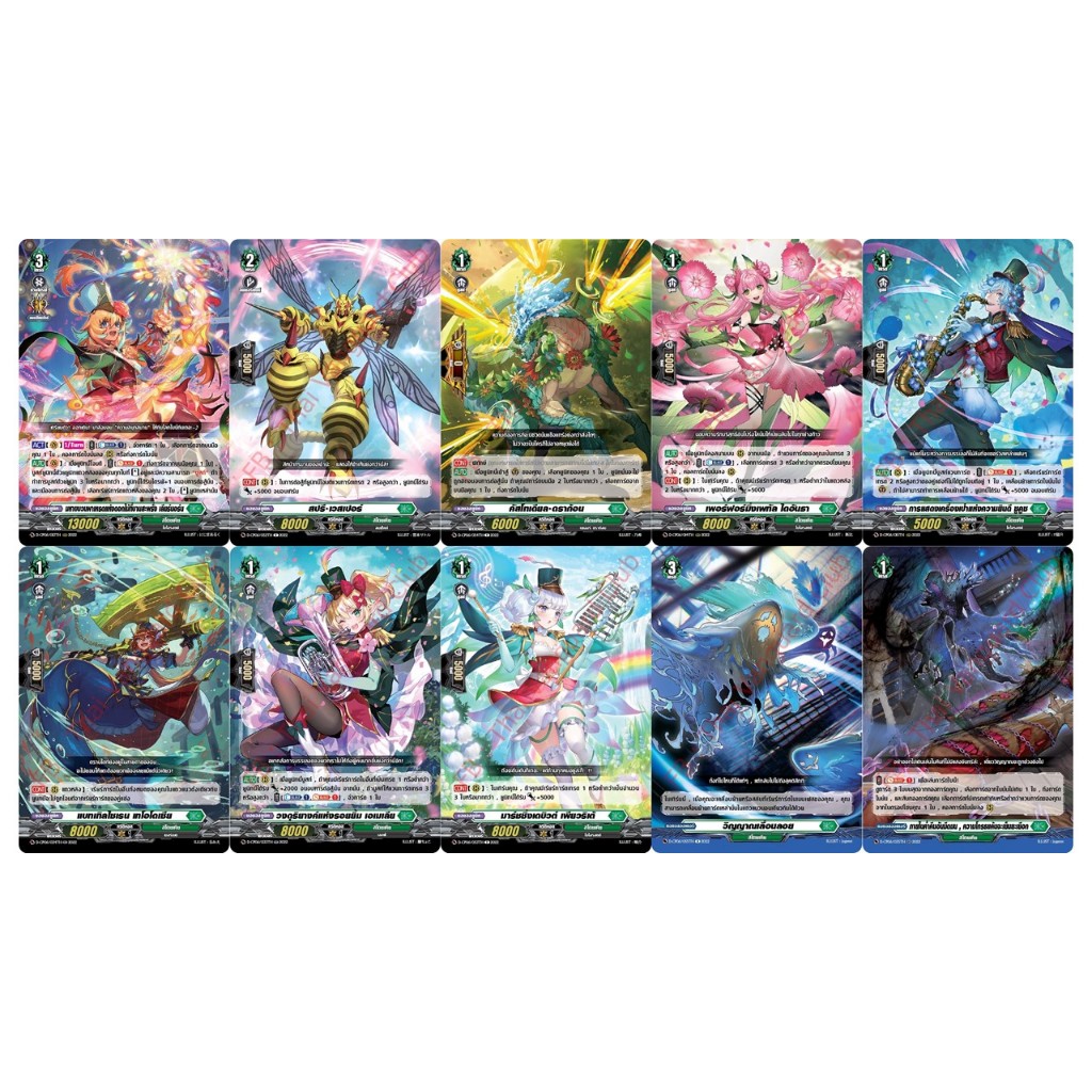 แวนการ์ด D-CP06 สโตยเคีย แยกใบ