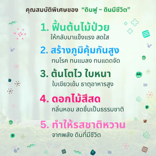 set x3 ดินฟู ~ ดินมีชีวิต : แถมฟรี >> Growth Hormone x1 ขวด ปริมาน 250 ml