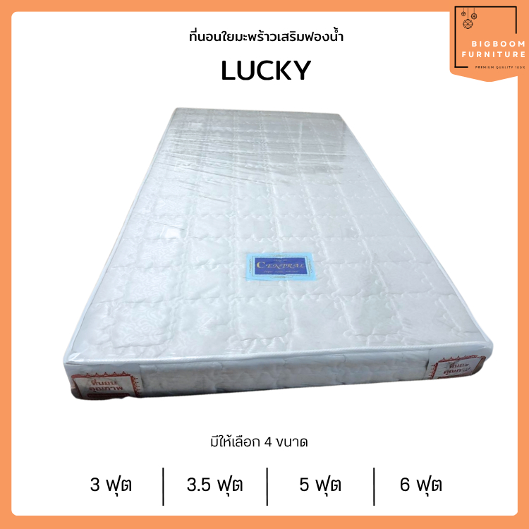 ที่นอนใยมะพร้าว เสริมฟองน้ำ หนา 6 นิ้ว รุ่น Lucky **ตจว.มีค่าจัดส่ง** | บิ๊กบูมเฟอร์นิเจอร์