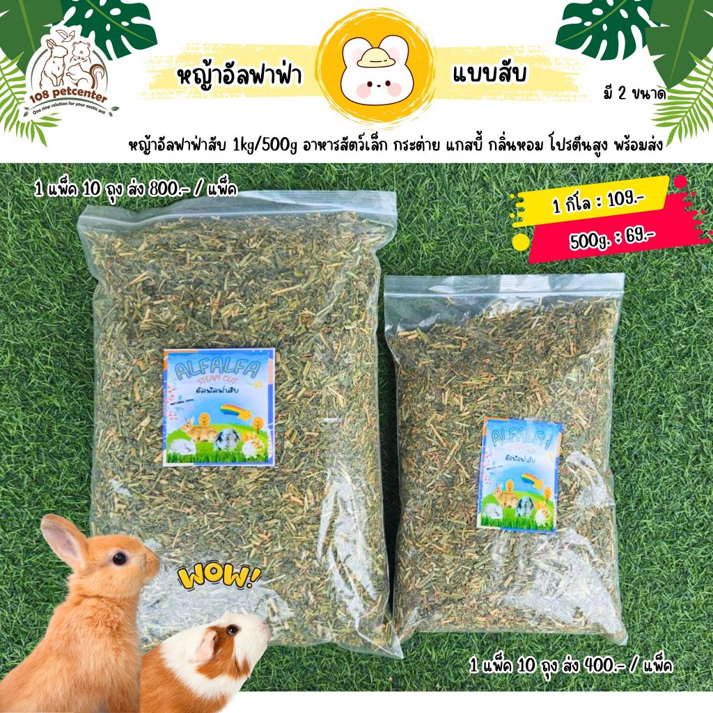 หญ้าอัลฟาฟ่าสับ 1kg/500g อาหารสัตว์เล็ก โปรตีนสูง เขียว หอม สำหรับกระต่ายและแกสบี้ (108pet)