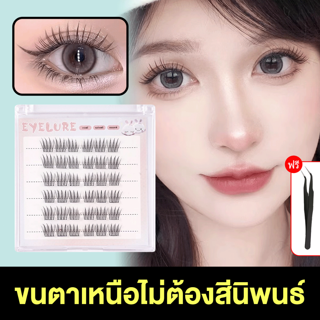【จัดส่งจากไทย】ขนตาปลอมแบบติดเอง 6 แถว หูข้าวสาลี เพียวไวลด์ ไตรโลจี ขนตาหลายสไตล์ ไม่ต้องใช้กาว ขนตาปลอมแบบใช้ซ้ำได้