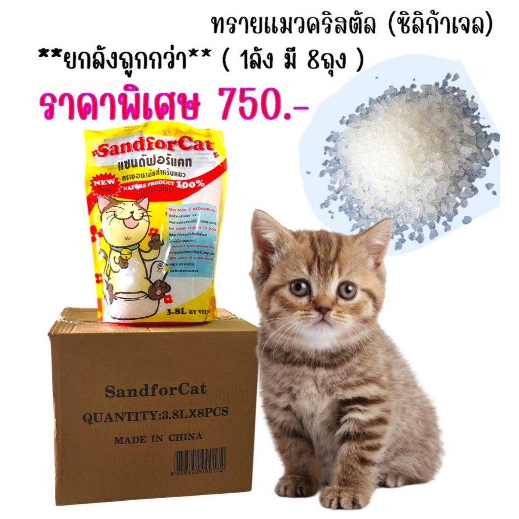 ทรายแมวคริสตัล ขนาด 3.8 ลิตร = 1.5 กิโลกรัม ราคาถูก ปราศจากฝุ่นผง (แบบยกลัง มี8ถุง)