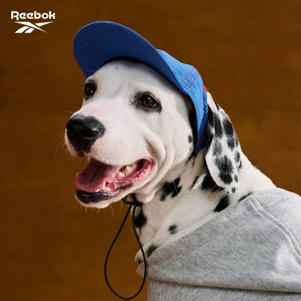 หมวกสัตว์เลี้ยง Rebox ของแท้ มี5สี!!