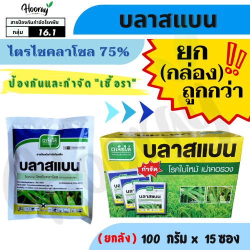 🔥ยกกล่อง🔥 บลาสแบน 100 กรัม X 15 ซอง (ของแท้)( ไตรไซคลาโซล ) กำจัดเชื้อรา ไหม้ ไหม้คอรวง เน่าคอรวง