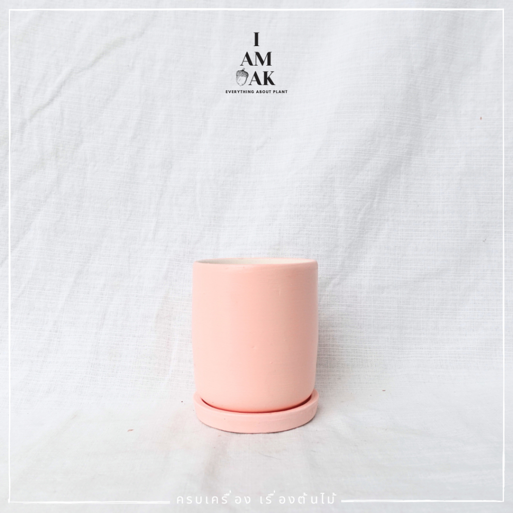 มุมมอง 7