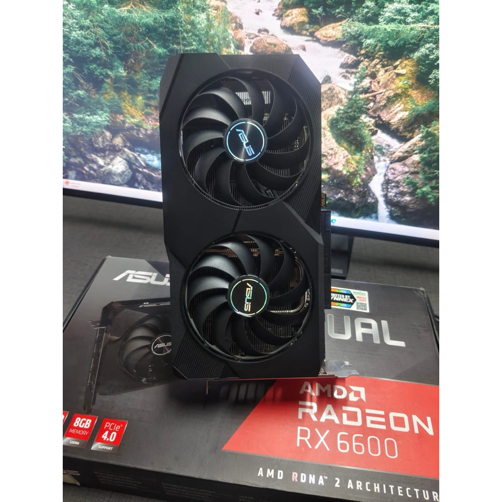 RX 6600 8GB ASUS DUAL