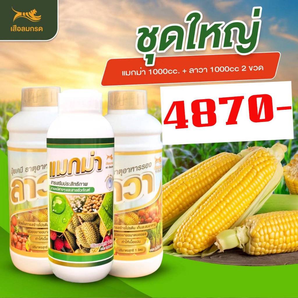 ปุ๋ยน้ำแมกม่า ลาวา แมกม่าสารเสริมประสิทธิภาพ ลาวาปุ๋ยทางใบ ผสมยาเพลี้ยไฟไรแดง ช่วยทุเรียนใบไหม้