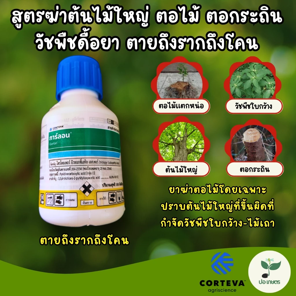 การ์ลอน (100 มล.) [ไตรโคลเพอร์] สูตรฆ่าต้นไม้ใหญ่ ตอไม้ ตอกระถิน วัชพืชดื้อยา ตายถึงรากถึงโคน