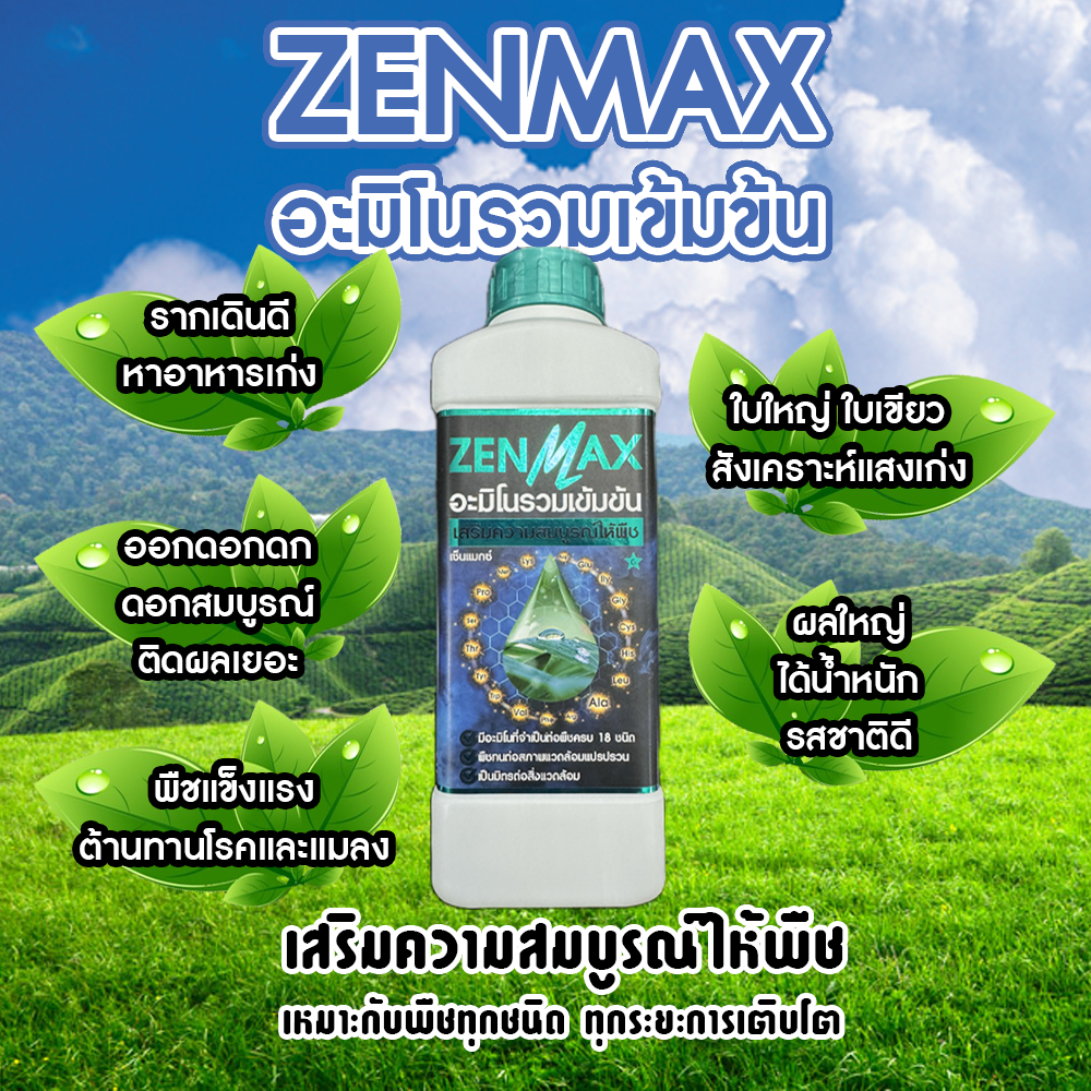 ZENMAX ปุ๋ยอะมิโนรวมเข้มข้น เร่งโตเร่งดอก ฟื้นต้น เร่งราก เพิ่มผลผลิต พืชทุกชนิด ทุกระยะ 1 ลิตร (Z1)