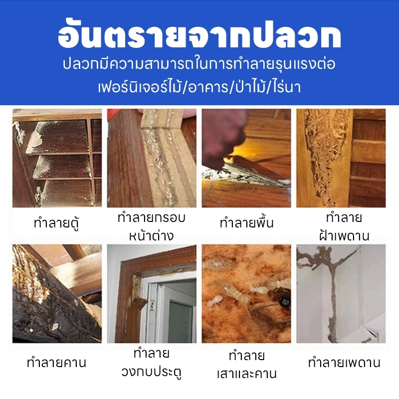 ปลวกตายเกลี้ยง! ผงกำจัดปลวก ยากำจัดปลวก ยาปลวก ยาฆ่าปลวก กำจัดปลวก ปกป้องยาวนาน - รูปที่ 3