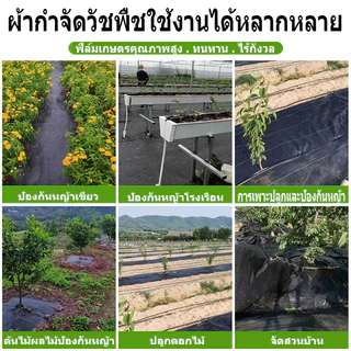 Daily Gold พลาสติกคลุมวัชพืช วัชพืช ผ้าคลุมหญ้า กำจัดหญ้า พลาสติกคลุมดิน ผ้าคลุมวัชพืช ฆ่าหญ้า เห็นผลไวถายใน